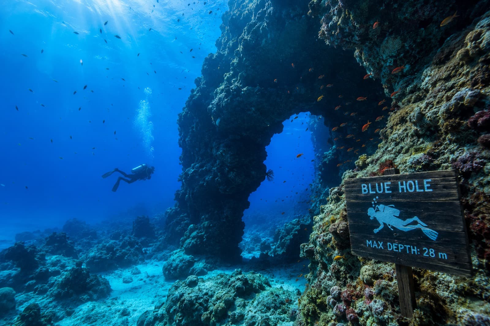 Blue Hole dalış noktasında bir mağara kemerinde yüzen dalgıç