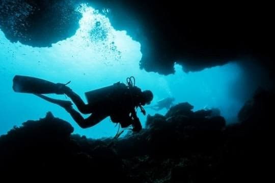 Akvaryum Reef