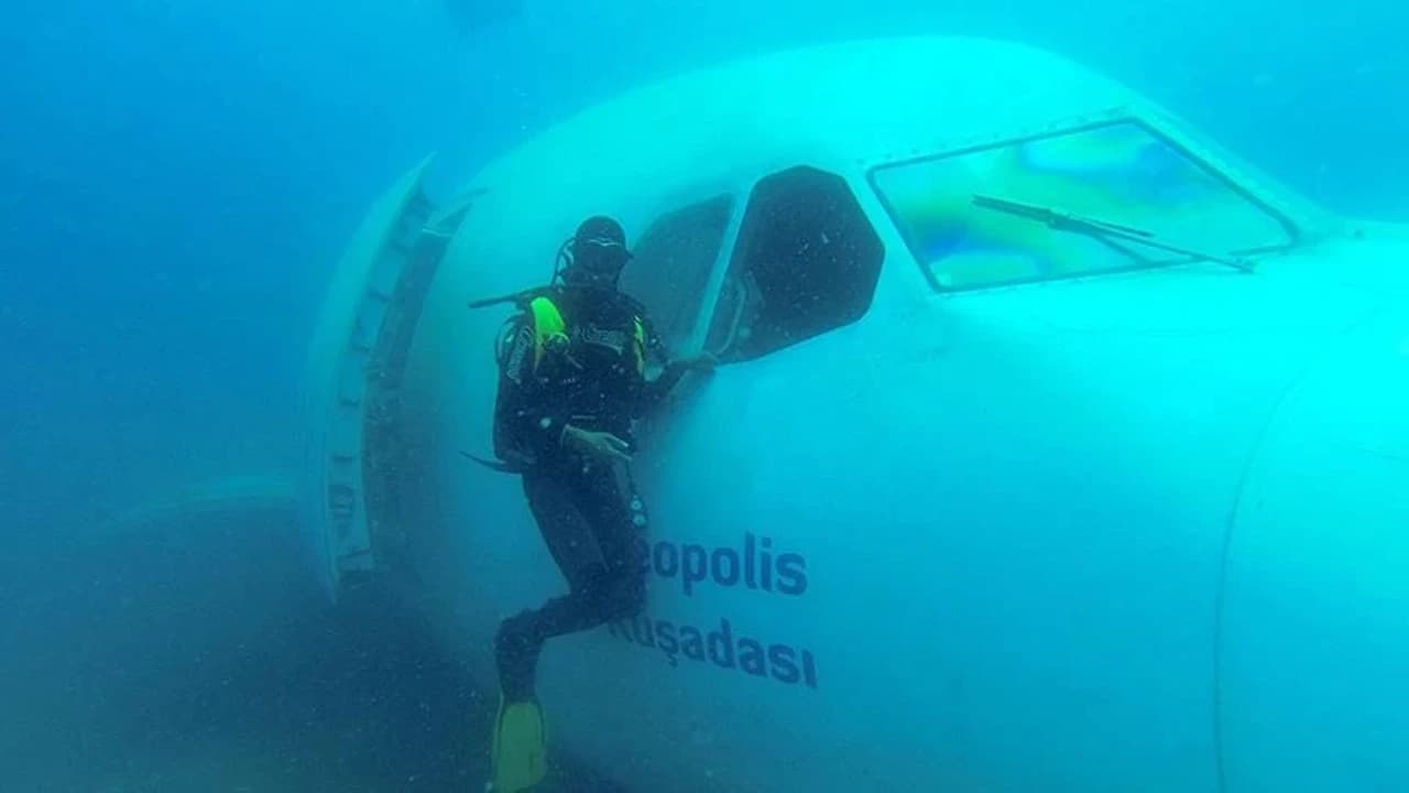 Airbus A300 Batığı